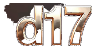 d17 logo